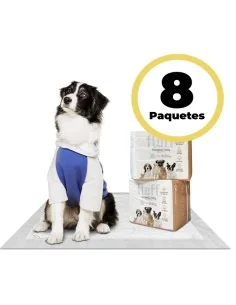 Disposable Pad for Pets | 60x60 cm |8 Packs of 15 units